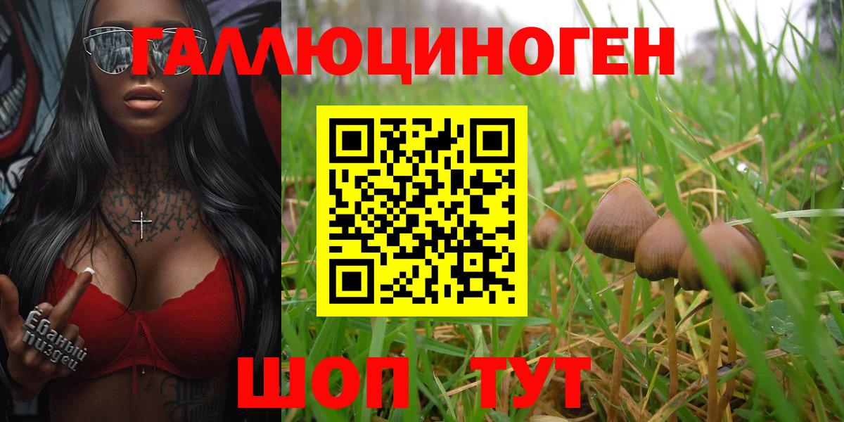 Галлюциногенные грибы Magic Shrooms  купить закладку  Уварово  Галлюциногенные грибы прущие грибы  Вход с VPN 