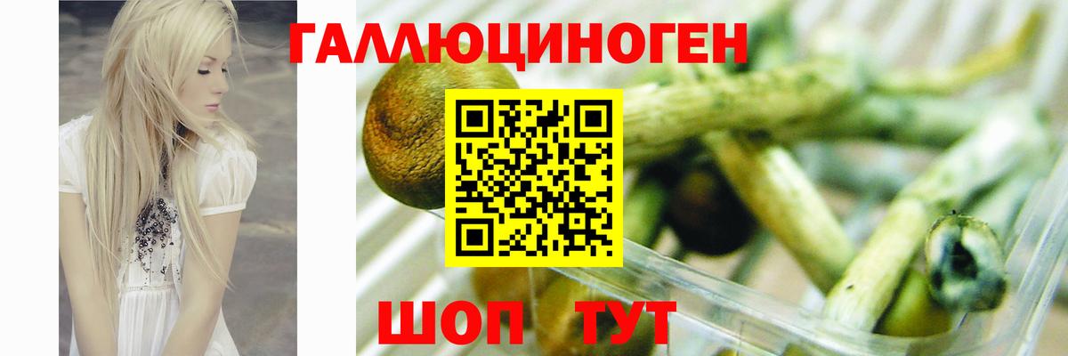 Псилоцибиновые грибы Cubensis Уварово